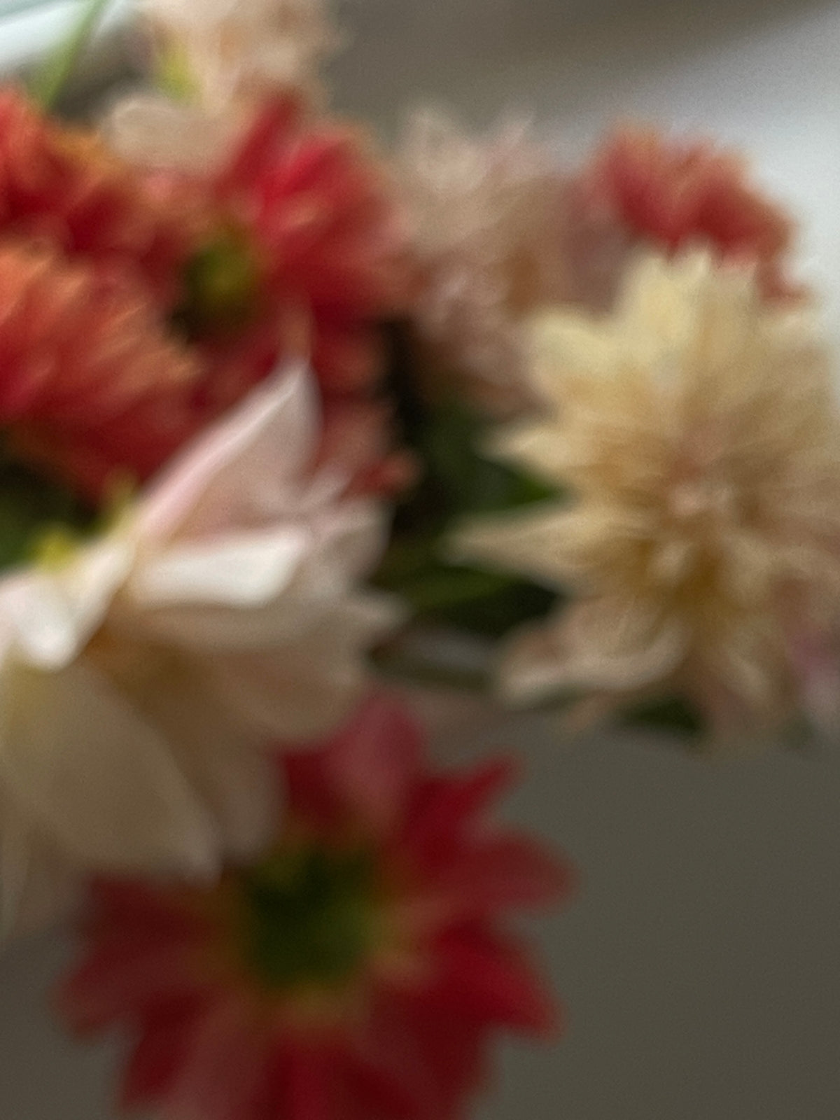 The Weekly Bunch: Dahlias